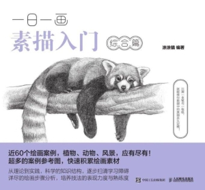 一日一画素描入门——