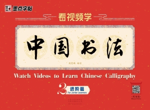 看视频学中国书法 2