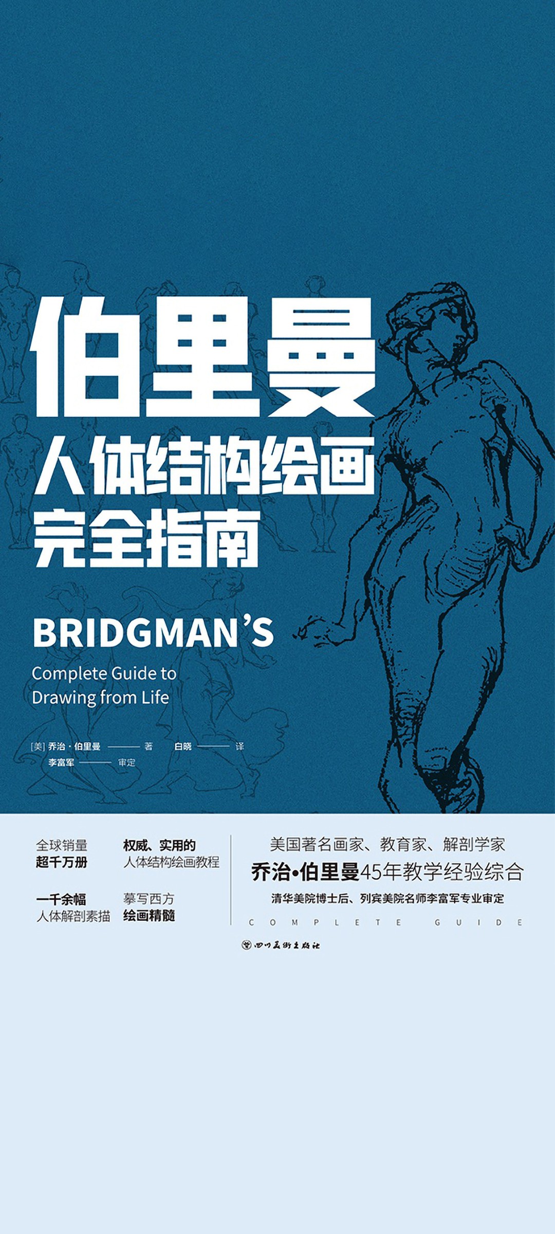 伯里曼人体结构绘画完