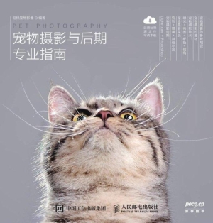 宠物摄影与后期专业指