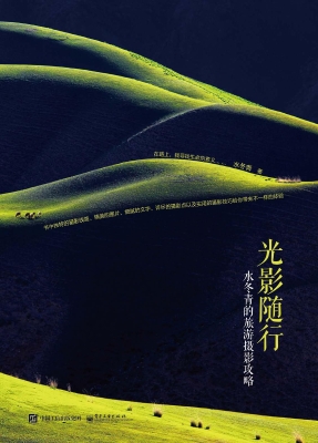 光影随行——水冬青的