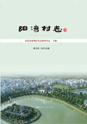 阳湾村志