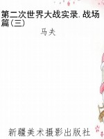 第二次世界大战实录.