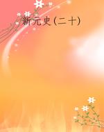 新元史(二十)