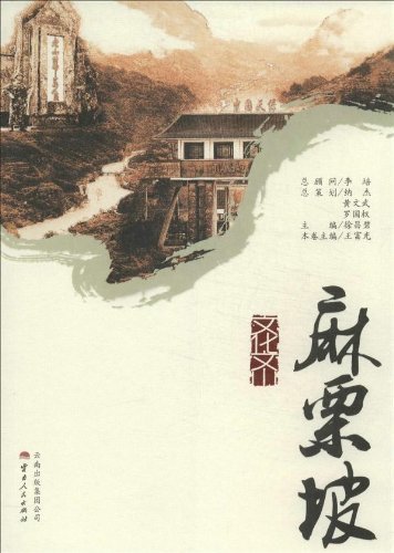 文化文山·麻栗坡