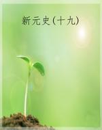 新元史(十九)