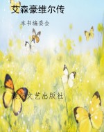艾森豪维尔传