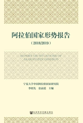 阿拉伯国家形势报告（20