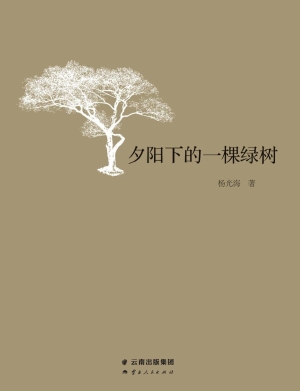 夕阳下的一棵绿树