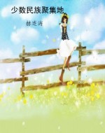 少数民族聚集地