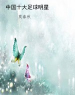 中国十大足球明星