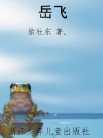 岳飞