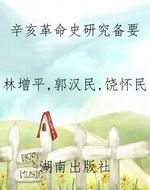 辛亥革命史研究备要