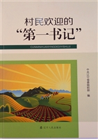 村民欢迎的“第一书记