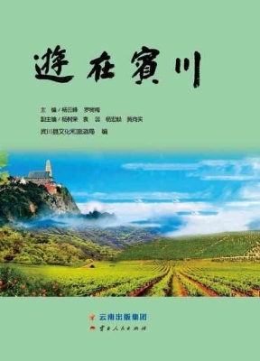 游在宾川