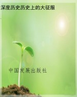 深度历史历史上的大征
