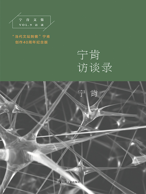 宁肯访谈录