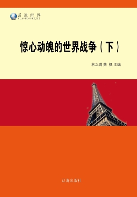 惊心动魄的世界战争（下