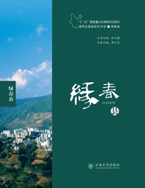 滇西边境县研究书系·