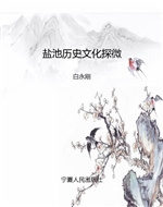 盐池历史文化探微