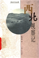 西北视察记