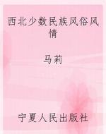西北少数民族风俗风情