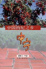 中国枸杞之乡——中宁