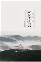 大水坑镇志