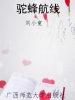 驼蜂航线