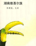 湖南维吾尔族
