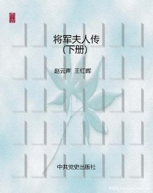 将军夫人传（下册）