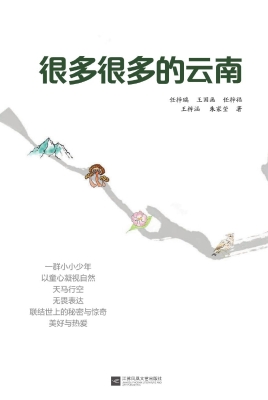 很多很多的云南