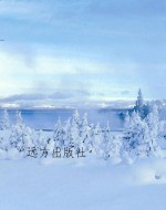 希望文库-达·芬奇