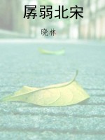 孱弱北宋