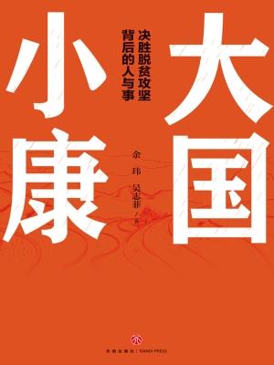 大国小康