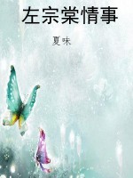 左宗棠情事