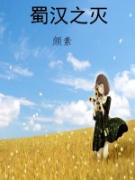 蜀汉之灭