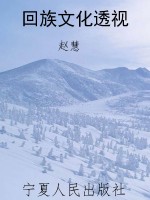 回族文化透视