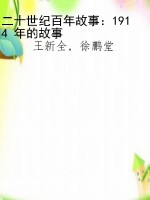 二十世纪百年故事：1914