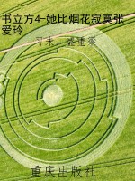 书立方4-她比烟花寂寞