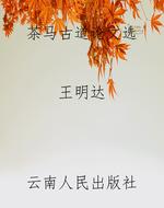 茶马古道论文选