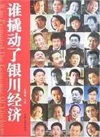 谁撬动了银川经济