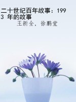 二十世纪百年故事：1993