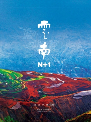 云南N+1