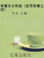 军事天才传奇（世界军事