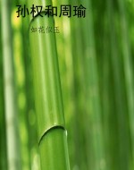 孙权和周瑜