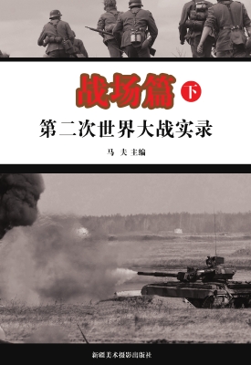 第二次世界大战实录.