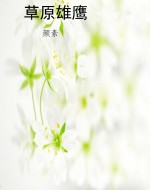 草原雄鹰