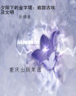 夕阳下的金字塔：追踪古