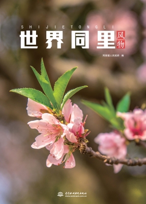 世界同里——风物